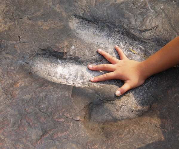 Child,Hands,Compared,With,Dinosaur,Footprints,In,The,Forest,Park